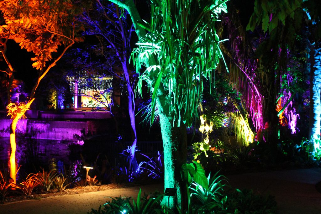 Night Lights in the Garden Naples Botanical Garden