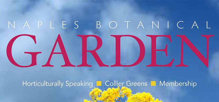 Download our Winter 2016 Magazine