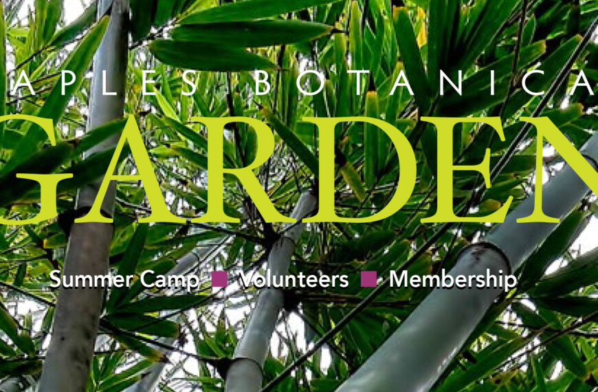 Download our Spring / Summer 2016 Magazine now!