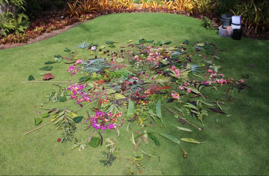 Nature Mandalas as Therapeutic Horticulture