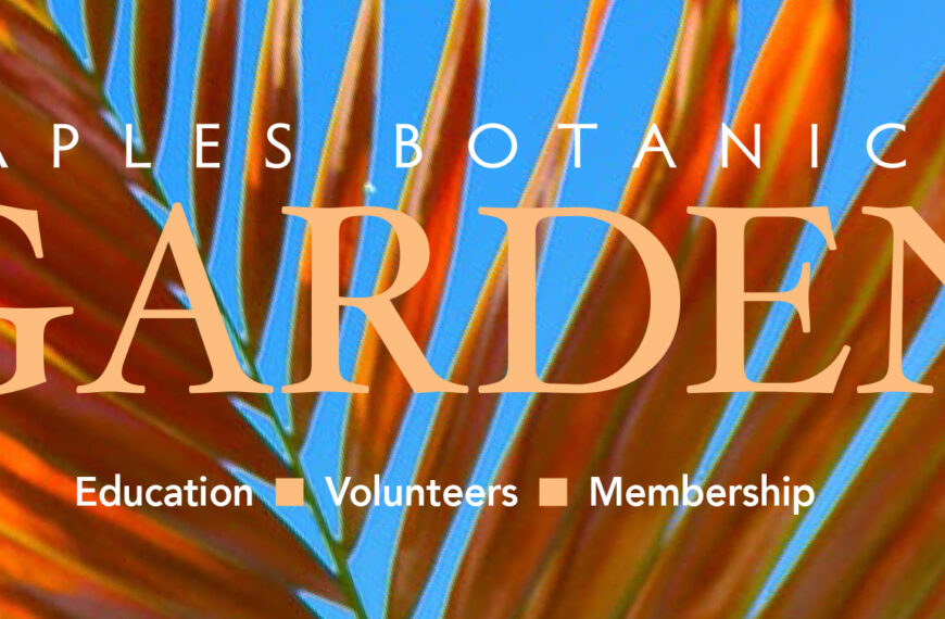 Download our Fall 2016 Magazine Now!