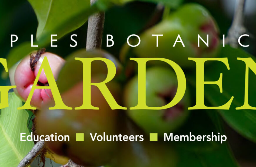 Download our Spring/Summer 2017 Magazine Now!