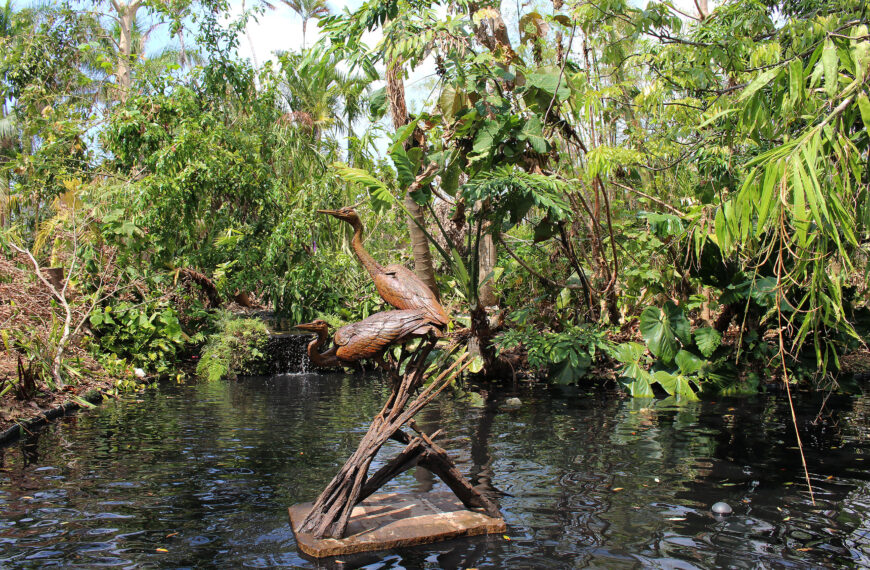 An Update from the President