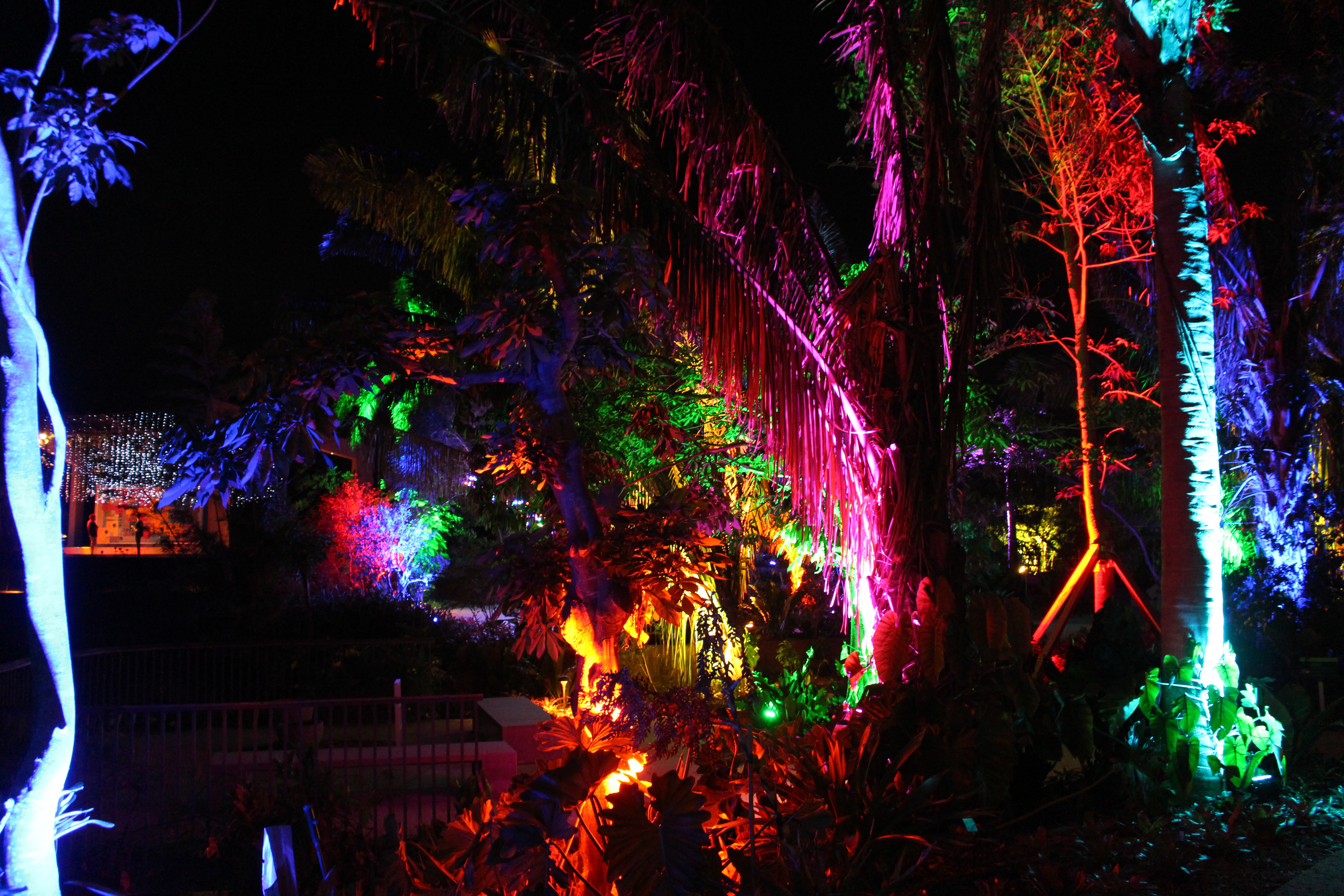 Nightlights In The Naples Botanical Garden Review Of