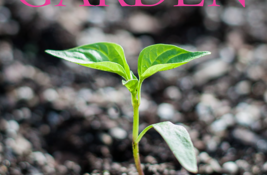 Download our Winter 2019 Magazine Here!