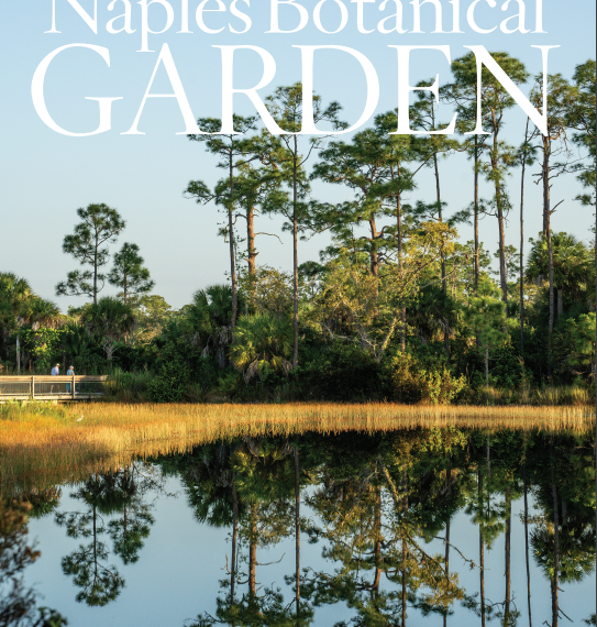 Download our Spring/Summer 2019 Magazine Now!