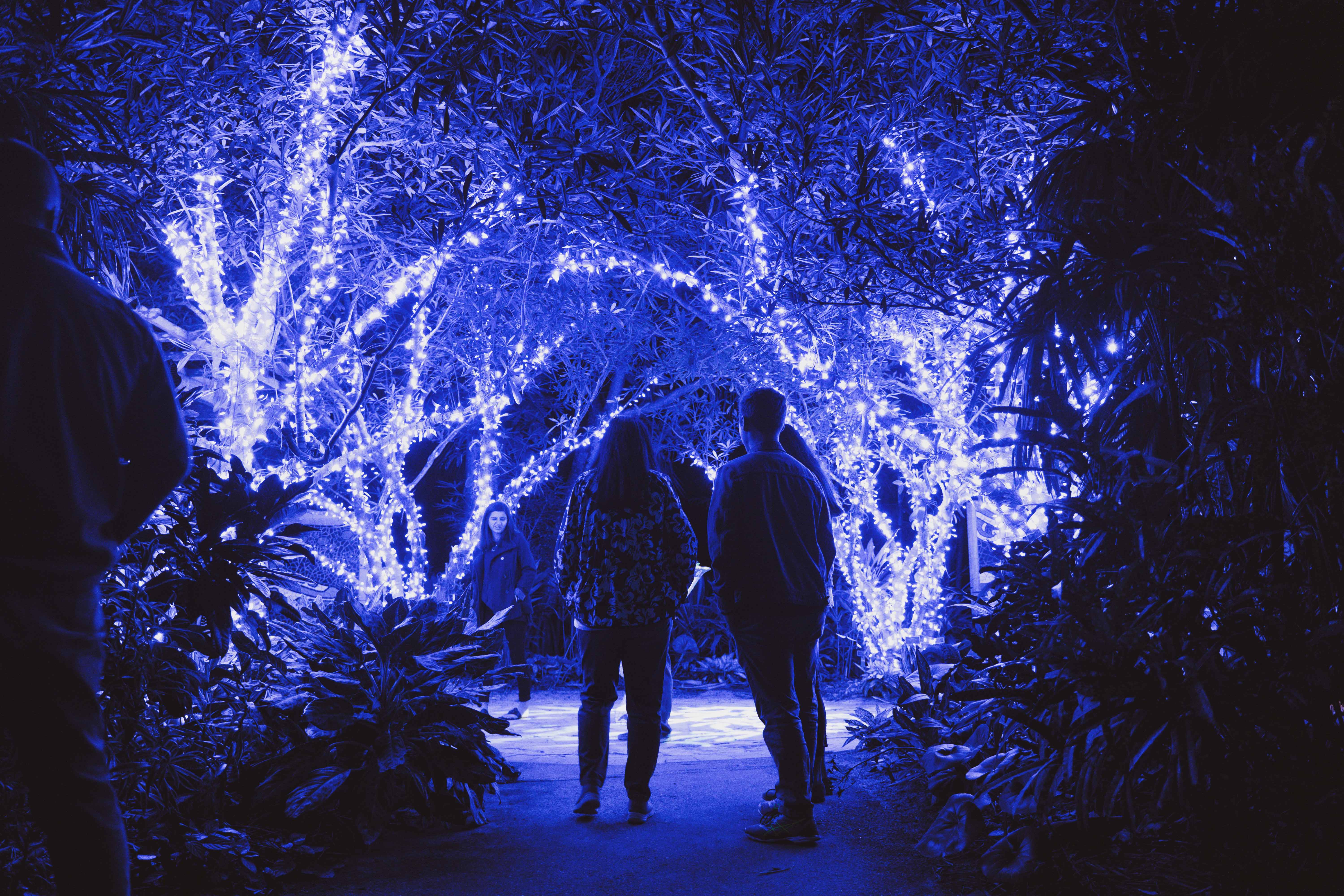 Naples Botanical Garden