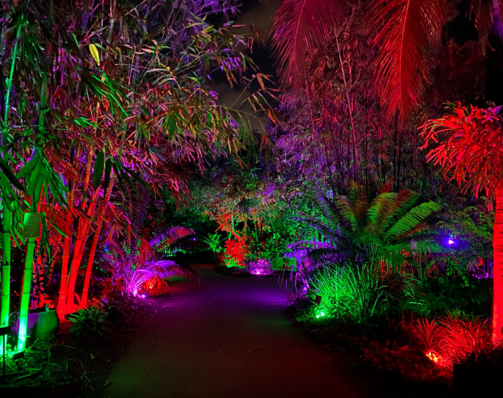 Night Lights in the Garden Naples Botanical Garden