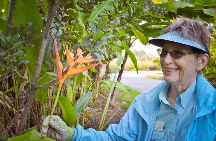 Yard waste or art Supplies? Discover how you can turn garden trimmings into home décor