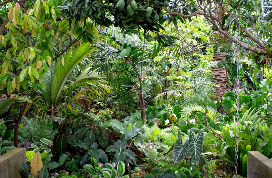 Slow Down, and Enjoy Kathryn’s Garden