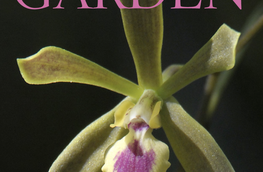 Download the Winter 2020 Garden Magazine here