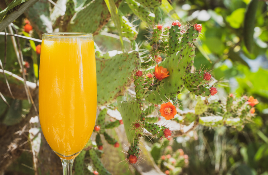 mango mimosa at naples botanical garden