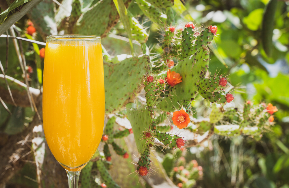 mango mimosa at naples botanical garden