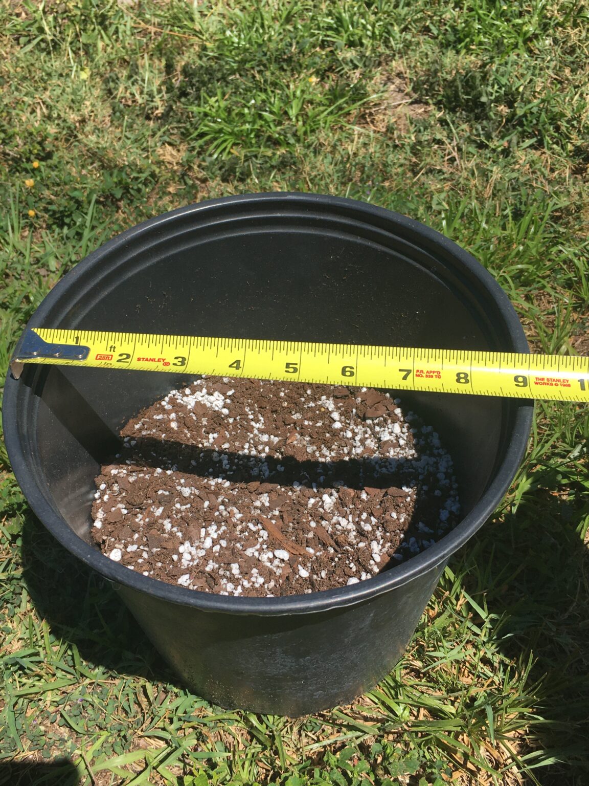 Container Gardening Selecting your Container Naples Botanical Garden