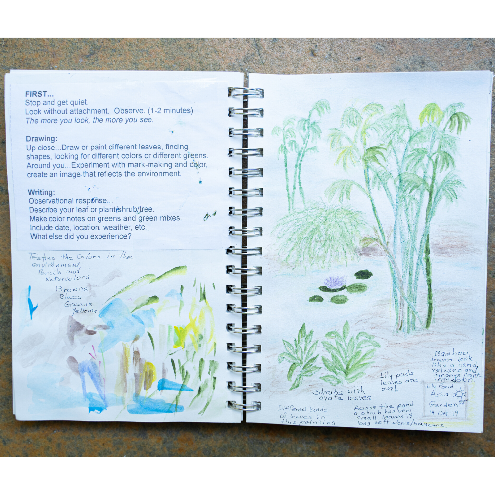 Nature Observation Journal