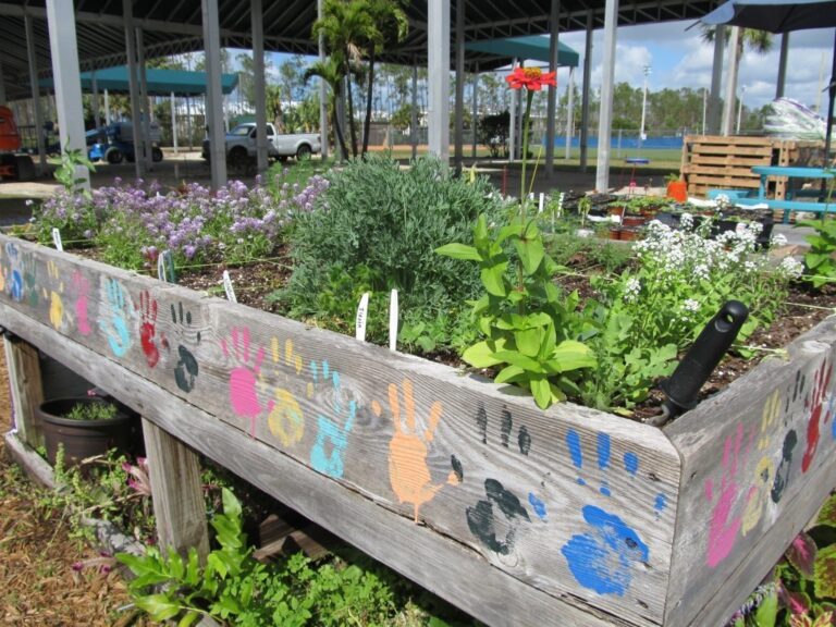 Container Gardening DIY Potting Mix Naples Botanical Garden