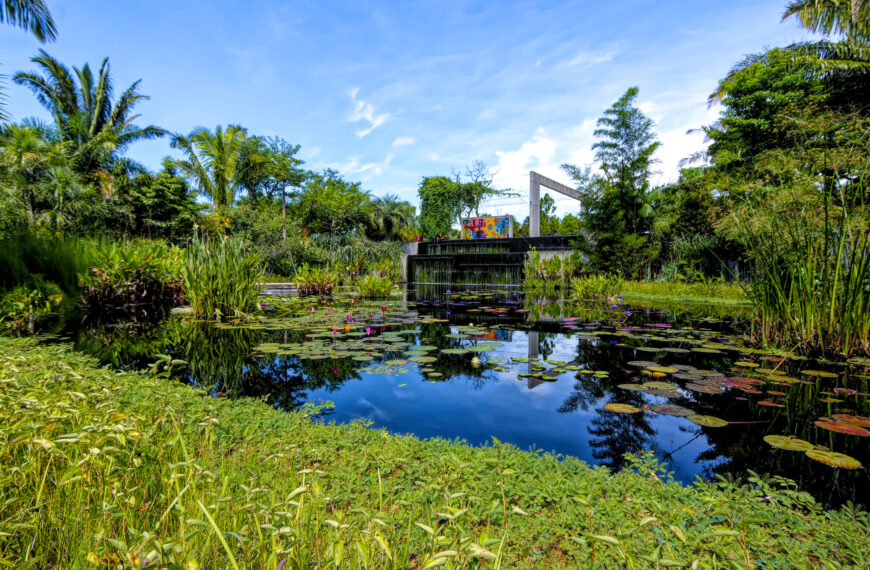 4 ways you’ve helped the Garden thrive these past 4 months