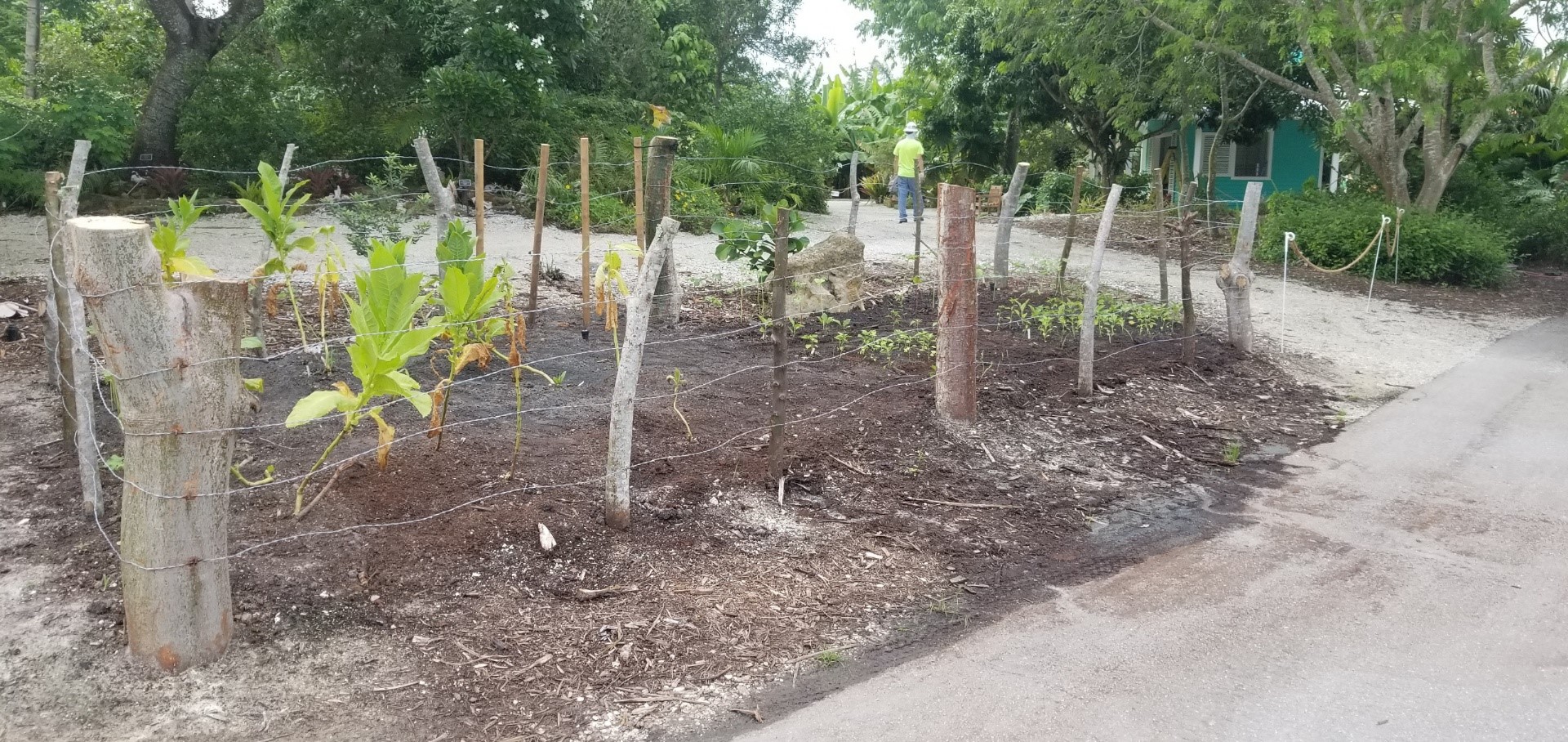 Living fence deals