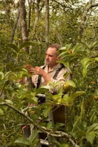Garden Provides Habitat for Native Orchids as Wild Populations Decline