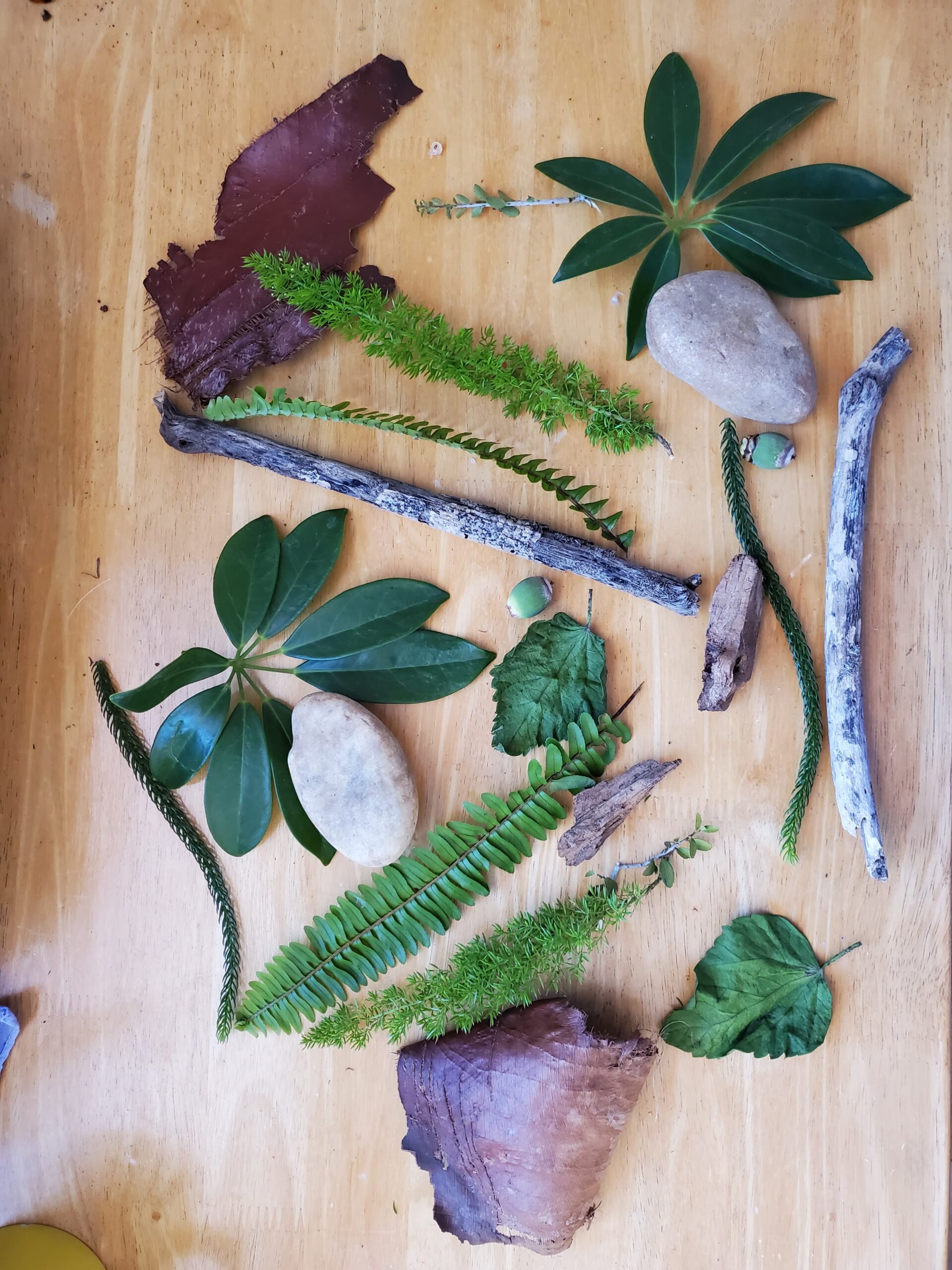 Tactile nature matching game Naples Botanical Garden