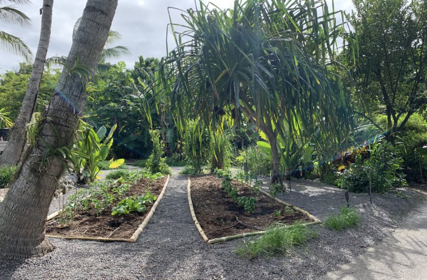 Talk About a Fall Cleaning