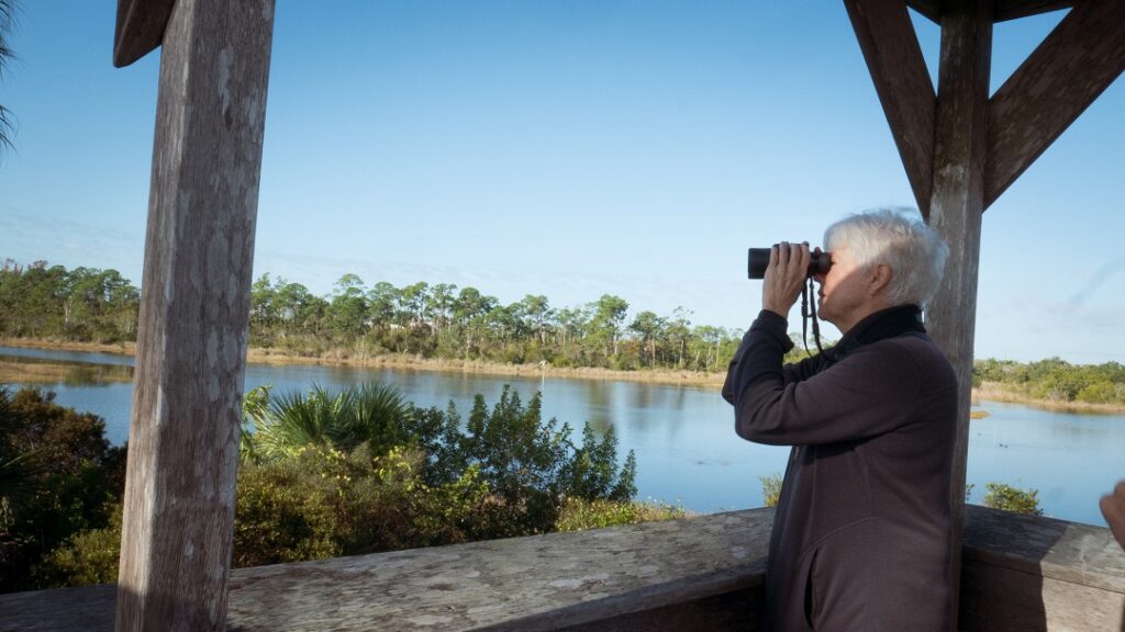 Birding in the Garden
