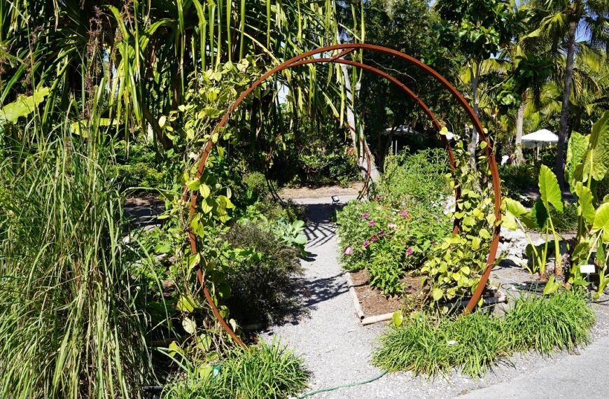 Summer in SWFL: Get Out, and Garden!