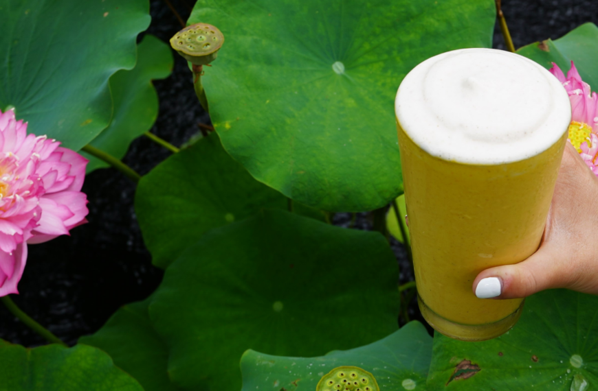 Healthy & Delicious Canistel Milkshake