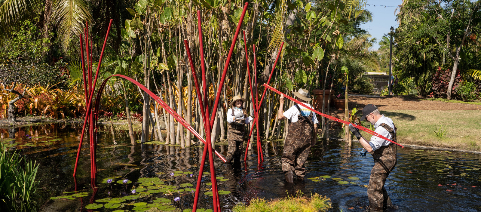 Ikebana Group Celebrates 50 Years