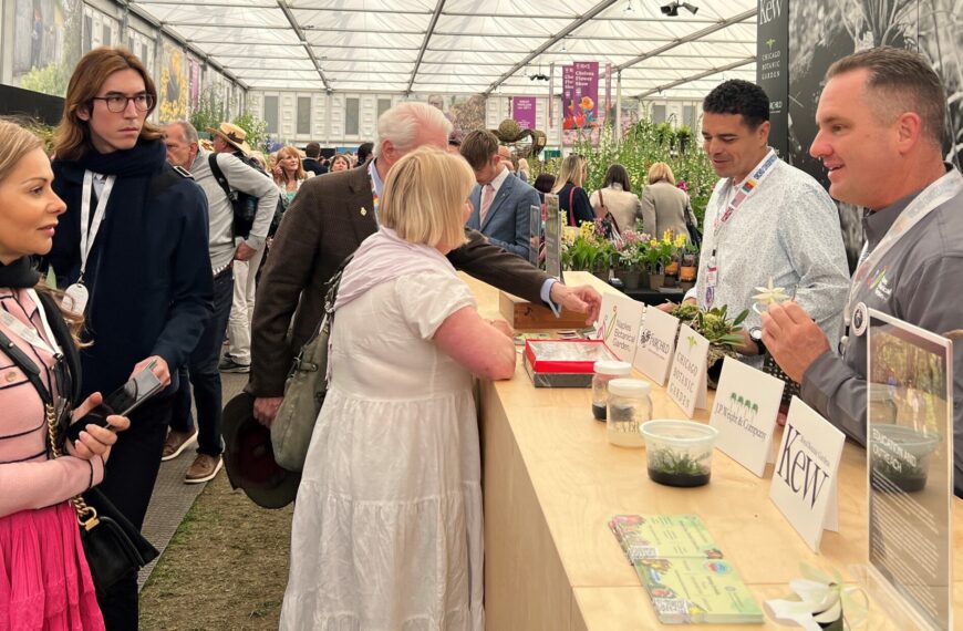 Florida ghost orchid captivates British press, public