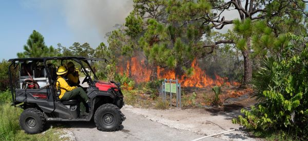 Documenting a Prescribed Burn