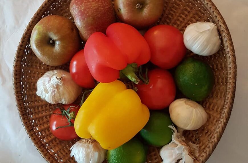 Your Thanksgiving Meal — Botanically Classified