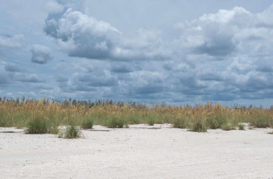 Rebuilding the Dunes, Protecting the Coast