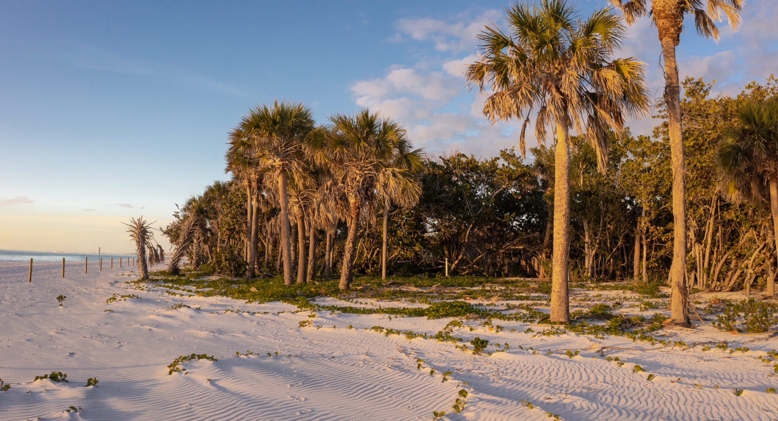 Writing an Instruction Manual for Coastal Plants
