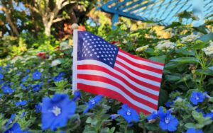 A small United States flag is placed in a bed of blue flowers.