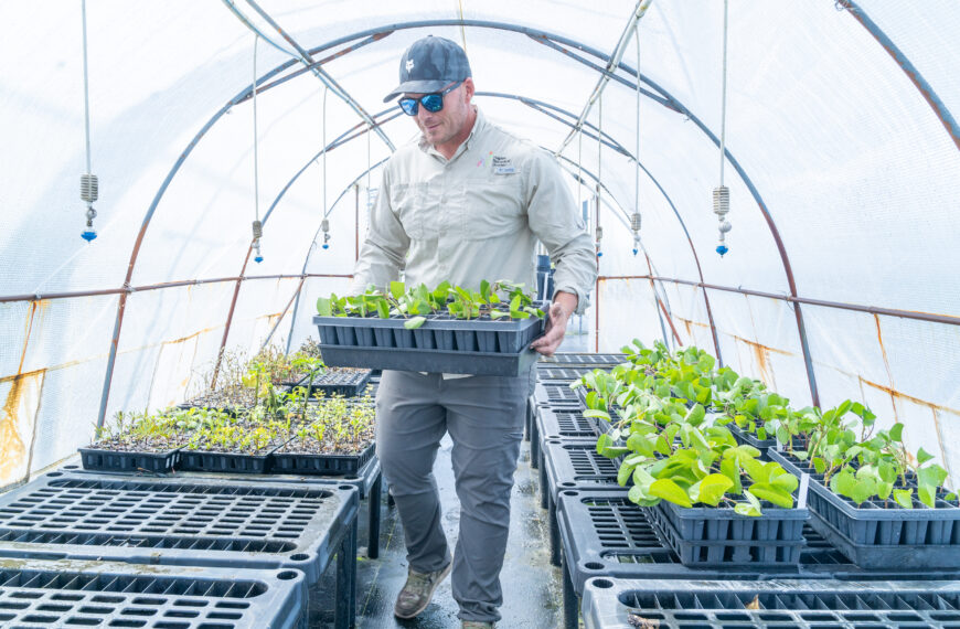 Honoring the Mother Plants