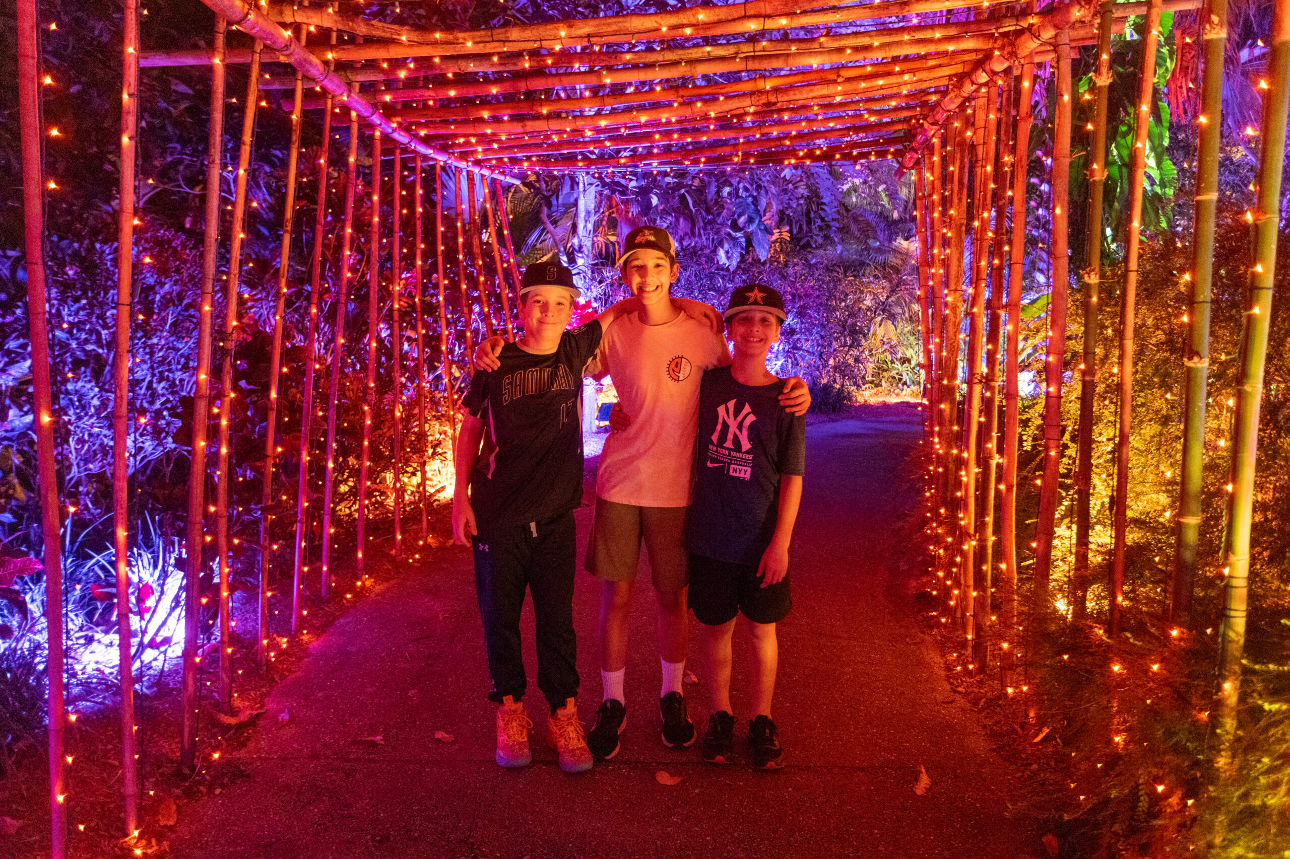 Johnsonville Night Lights in the Garden | Naples Botanical Garden