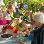 A group of people sit around a table and plant orchid plants into small planter pots. There are trays of soil and small scoopers laid out on the table.