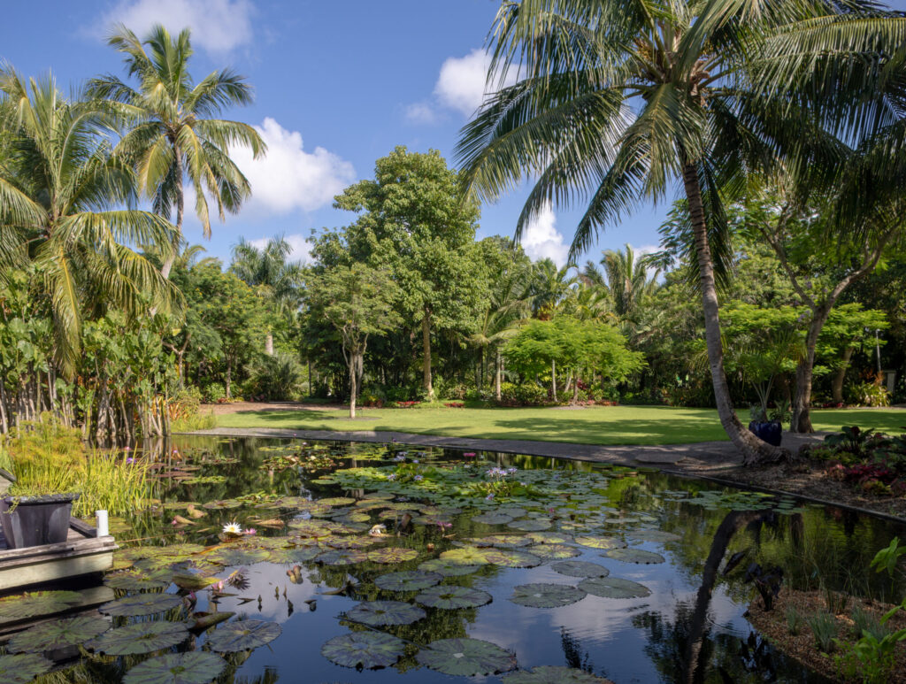 A large grassy lawn is surrounded by tall trees and has a large palm on both the right and left sides of the photo.