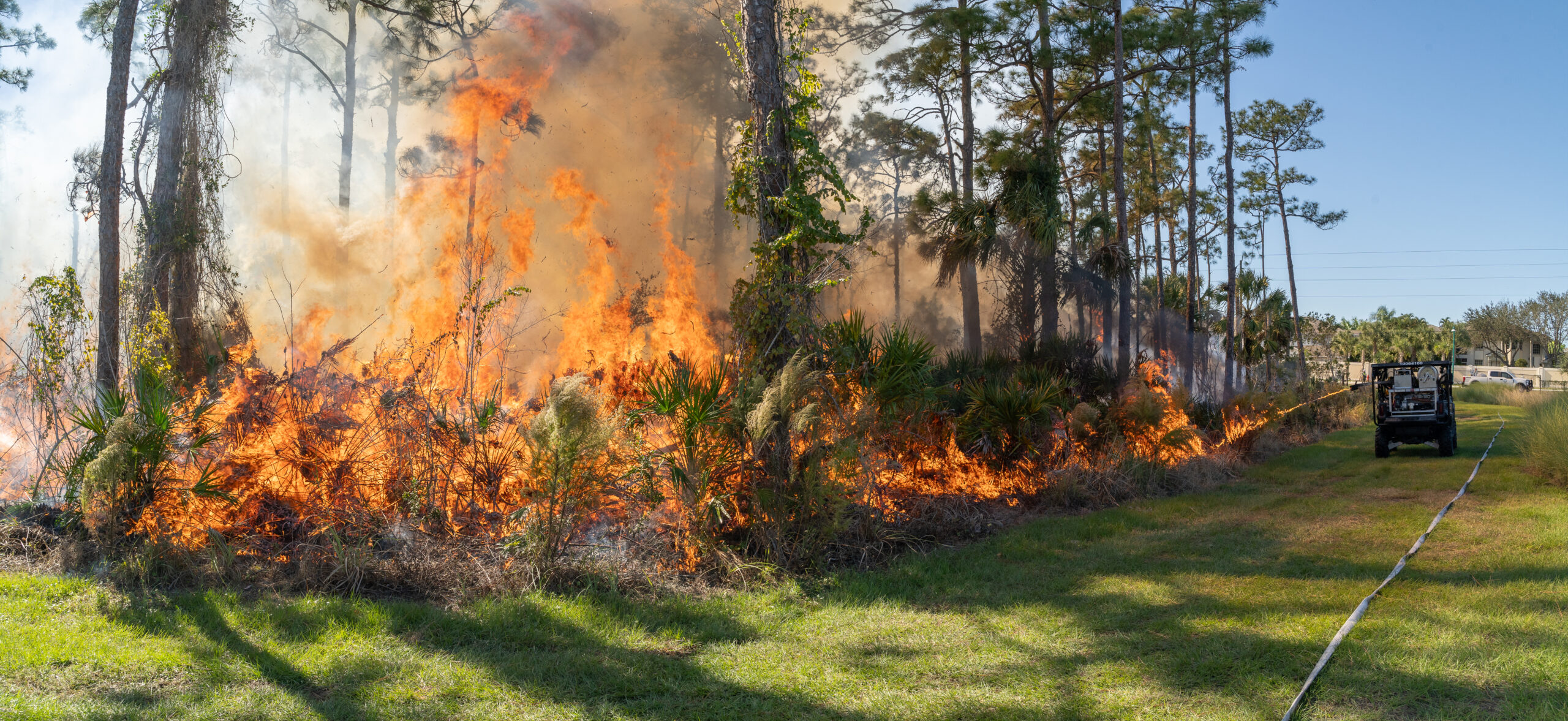 Prescribed Burns | Naples Botanical Garden
