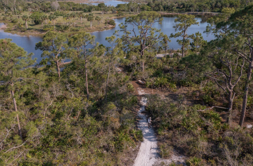 When the Wind Changes: A Story of Inches and Ecosystem Shifts