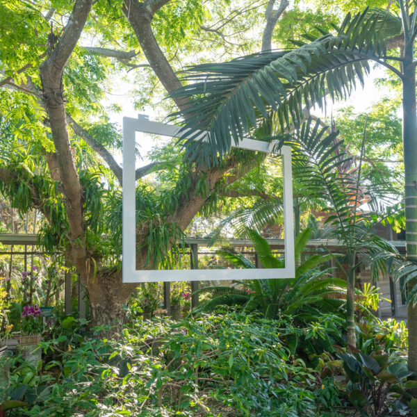 Reframing Our Flora