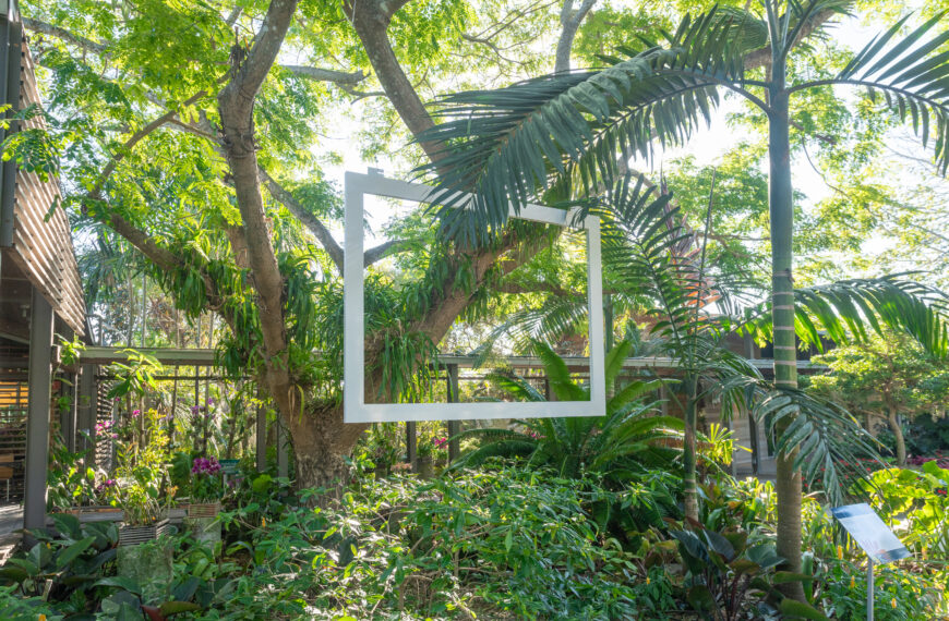 Reframing Our Flora