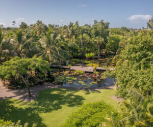 An aerial photo shows a lush garden lawn leading to a water garden that features a walkway over it. The lawn is surrounded by tall palms and tropical trees.