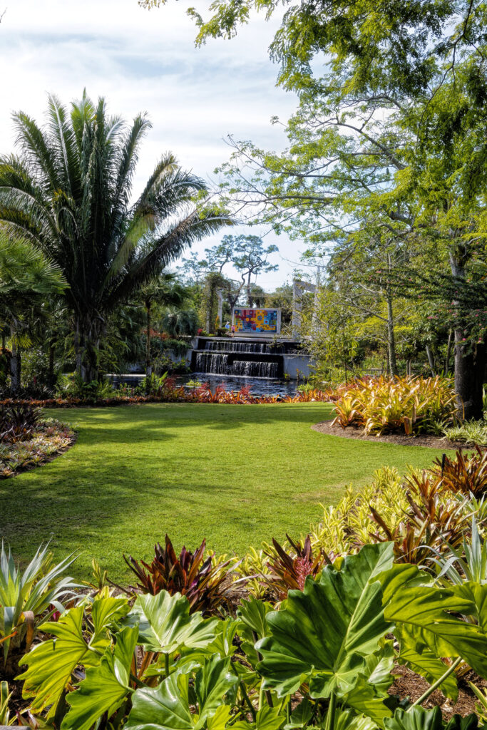 Florida Landscaping 101: Level Up with Height and Color