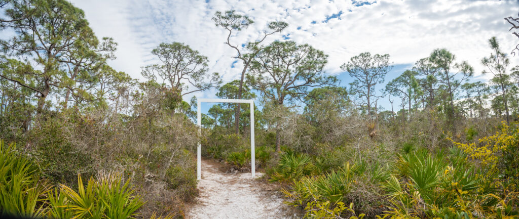 Native Plants of the Preserve