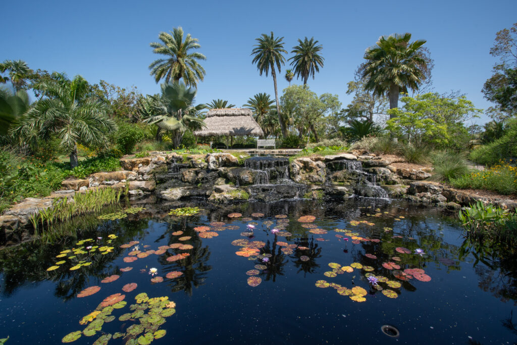 Scott Florida Garden
