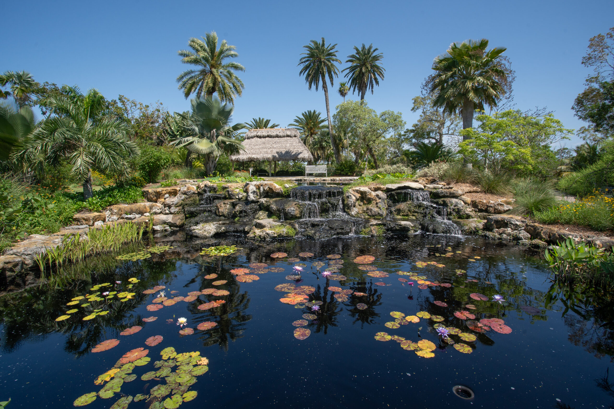 Scott Florida Garden