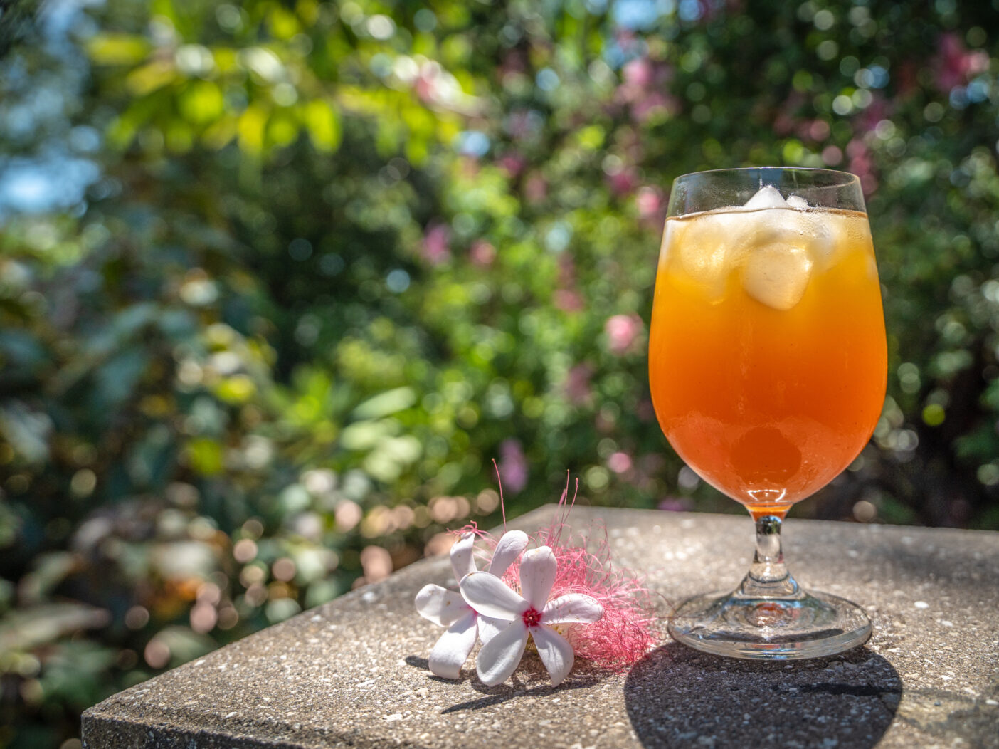 A glass of spiked apple cider on a table in the Garden, surrounded by tropical blooms.