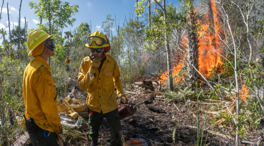 Two fire crew members stand before a blaze, one holding a torch and speaking into a radio, the other keeping an eye on the fire nearby. 
